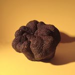 Trufa seleccionada por Tamaño