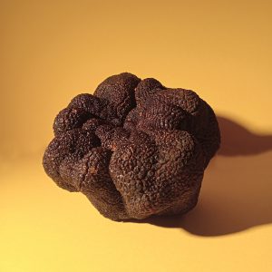 Trufa seleccionada por Tamaño